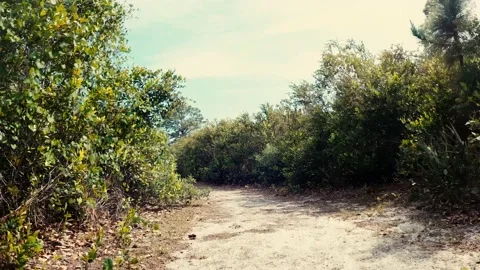 Rolling through the hiking trail. Stock Footage 152426399
