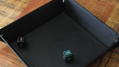 Rolling two D6 dice in a dice tray Stock Footage 335945736