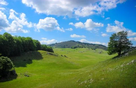 Rolling valley and Fields Foto stock
