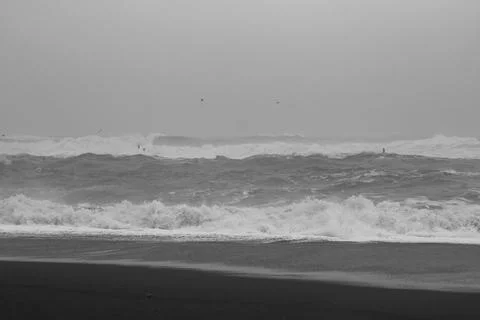 Rolling waves and storm monochrome landscape photo Stock-Fotos