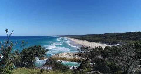 Rolling waves panning right to left between trees Video stock 78328338