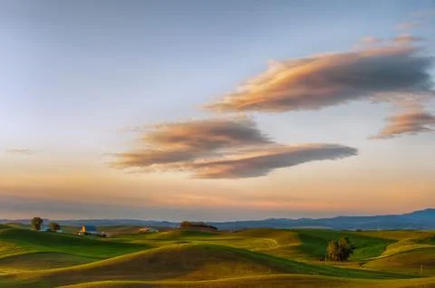 Rolling wheat fields Stock Photos