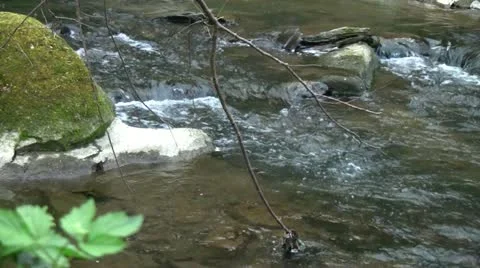 Rolling_creek.MTS Stock Footage 10871251