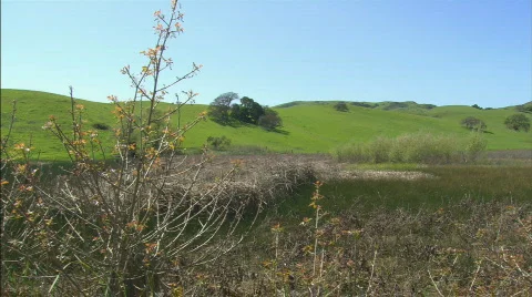 RollingHillsWetlands Panning Stock Footage 400811