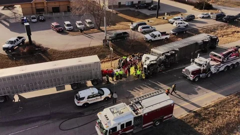 Rollover Semi-Truck with live Pigs in trailer Stock-Footage 95906341