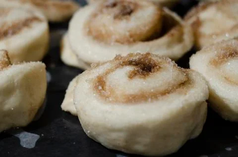 Rolls on a baking sheet 写真素材