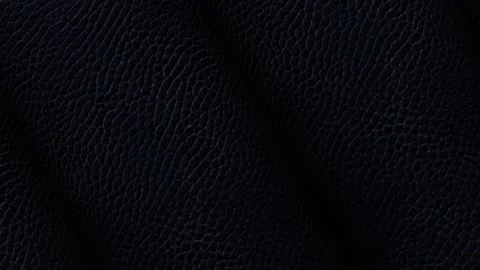Rolls of Black Leather, Business Background, Unique Design, Rotation, Exclusive Vídeo Stock 296414320