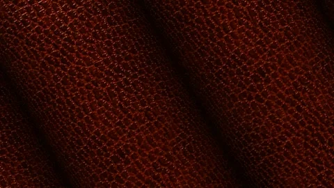 Rolls of Brown Leather, Business Background, Exclusive, Unique Design Stock Footage 296414124