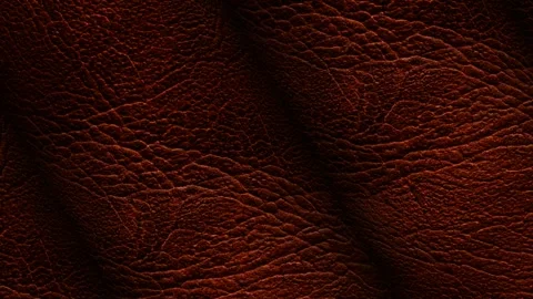 Rolls of Brown Leather, Business Background, Exclusive, Rotation, Unique Design Stock Footage 296414264