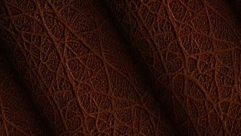 Rolls of Brown Leather, Business Background, Unique Design, Exclusive, Rotation Stock Footage 296414276