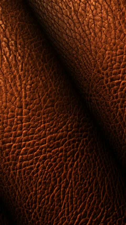 Rolls of Brown Leather, Elite Background, Unique Design, Rotation, Exclusive Stock Footage 296403012