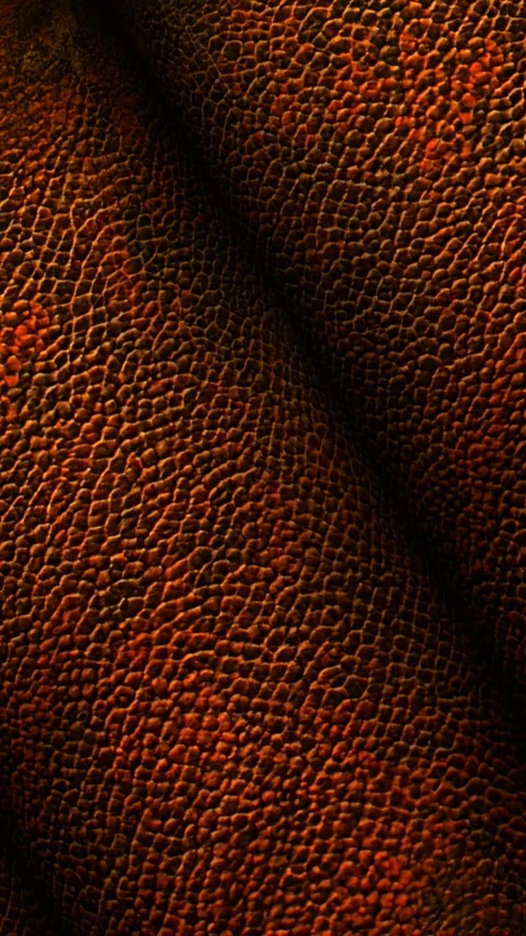 Rolls of Dark Brown Leather, Elite Background, Unique Design, Exclusive Stock Footage 296402099