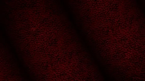 Rolls of Dark Red Leather, Business Background, Unique Design, Exclusive Stock Footage 296413488