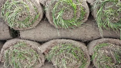 Rolls of grass turf stack on top of each other criss crossed outside Stock-Footage 249096816