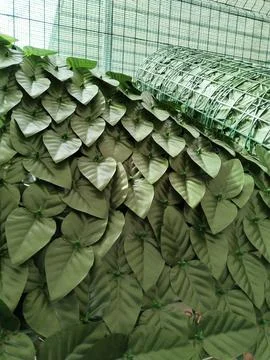 Rolls of green artificial grass carpet or leaves fence. market for gardener Stock Photos