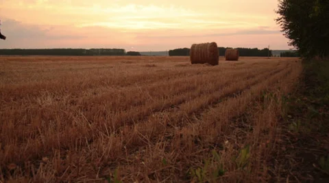 Rolls of hay in the field Stock Footage 32864063