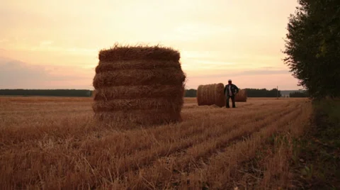 Rolls of hay in the field Stock Footage 32864663