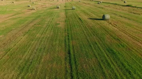 Rolls of hay on a field Stock Footage 53119533
