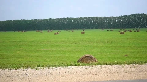 Rolls of hay in field Vidéo 65764198