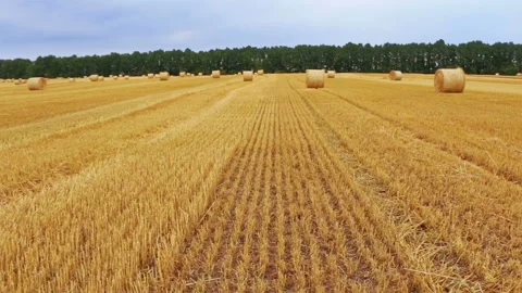 Rolls of Hay in the Field Stock-Footage 106460096