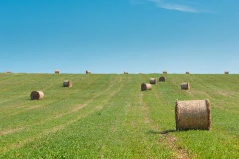 Rolls of hay field Stock Photos