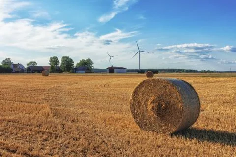 Rolls of hay laying in distant field in the countryside on the green grass in Stock Photos