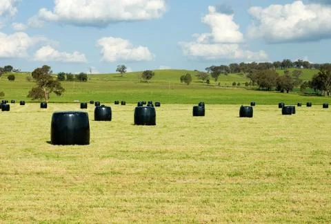 Rolls of hay Stock Photos