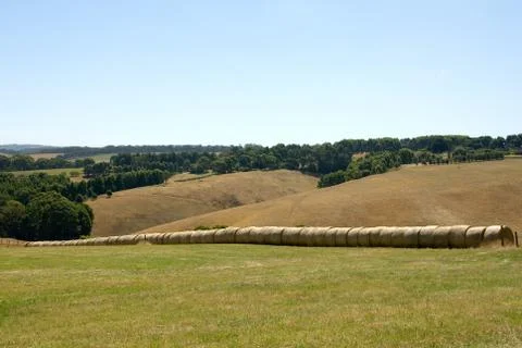Rolls of hay Stock Photos