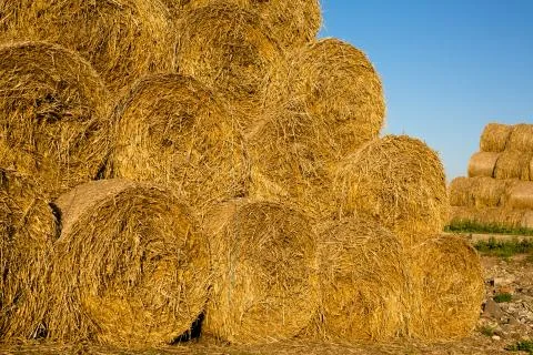Rolls of hay Stock Photos