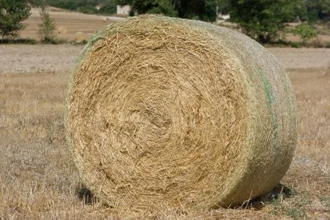 Rolls of haystack on the field. A sunny scenery with haystack in Spain. Stock Photos