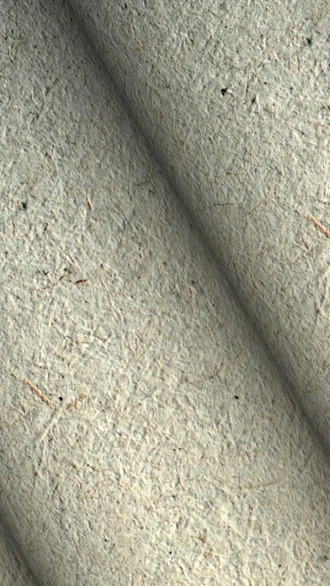 Rolls of Paper, Elite Background, Rotation, Unique Design, Exclusive Stock Footage 296403106