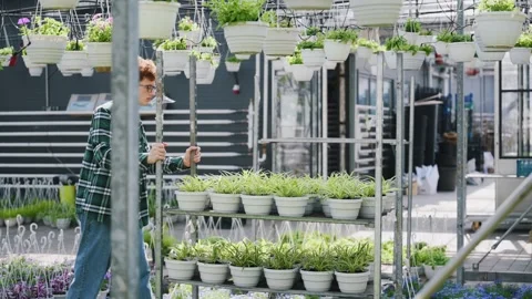 Rolls a shelf with potted plants. Stock Footage 243579160