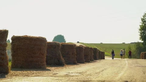 Rolls of straw along the road on a summer day. Stacks of straw as a fence along Stock Footage 300325564