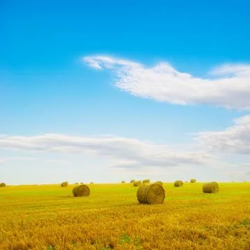 Rolls of straw in the field Stock Photos