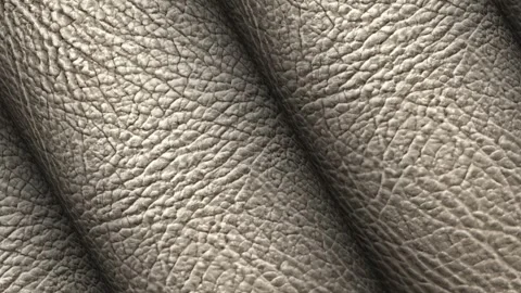 Rolls of White Leather, Business Background, Exclusive, Rotation, Unique Design Stock Footage 296414250