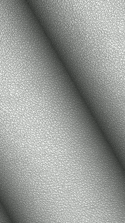 Rolls of White Leather, Elite Background, Unique Design, Exclusive Stock Footage 296402542