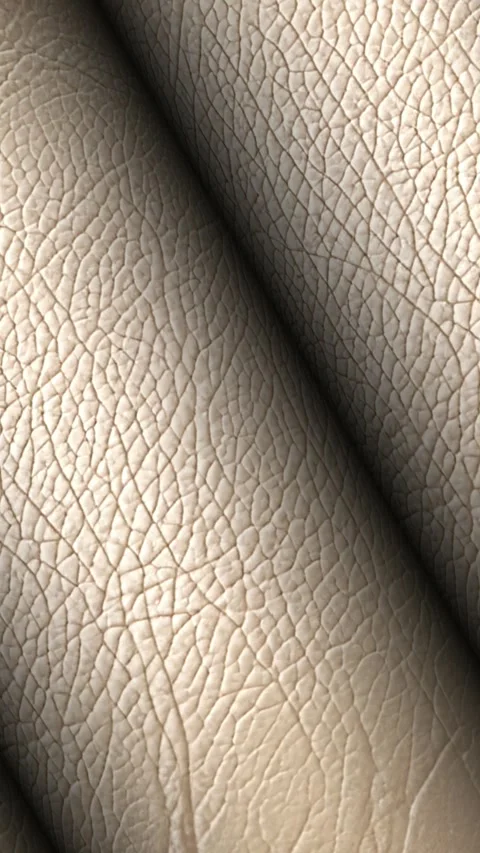 Rolls of White Leather, Elite Background, Exclusive, Unique Design, Rotation Stock Footage 296402938