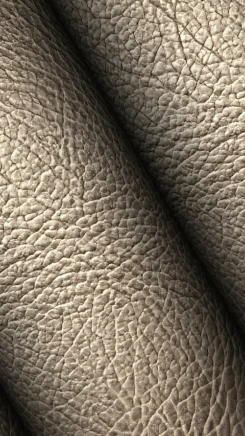 Rolls of White Leather, Elite Background, Exclusive, Rotation, Unique Design Stock Footage 296402960