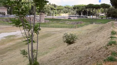 Roma Circo Massimo Video stock 131150663