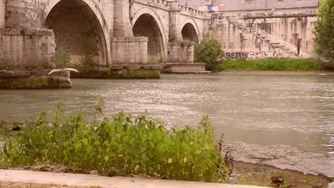 Roma Ponte S.Angelo 2 Stock Footage 131308368