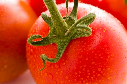 Roma tomatoes Stock Photos