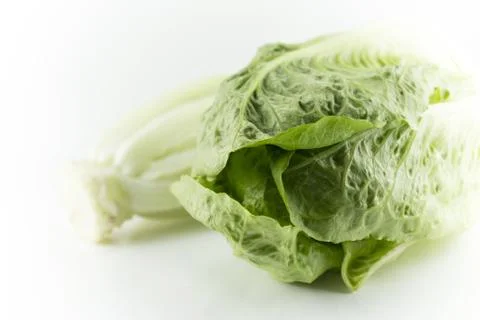 Romain Lettuce Stock Photos
