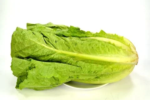 Romain lettuce Stock Photos