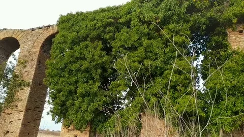 Roman aqueduct Vidéo 126535743
