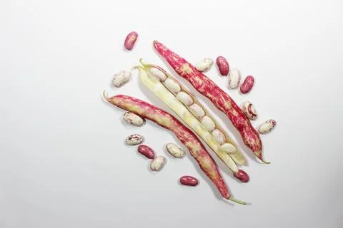 Roman bean on isolated white background Foto stock