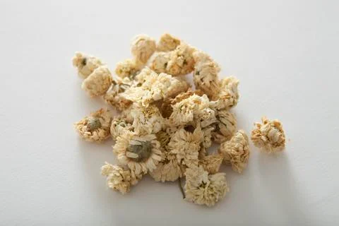 Roman chamomile Stock Photos