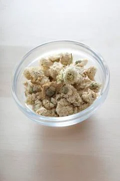 Roman chamomile Stock Photos