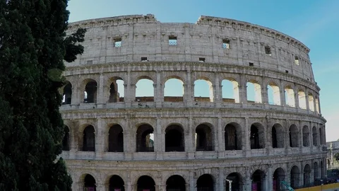 Roman Colosseum static full frame backlit late in day tree in foreground Video stock 96219582