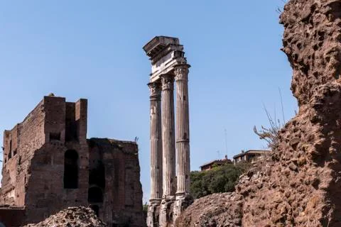 Roman Forum Stock Photos