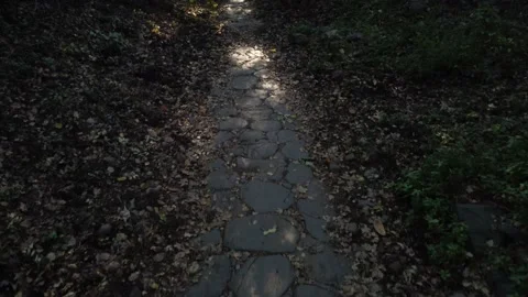 Roman road Vidéo 144430751